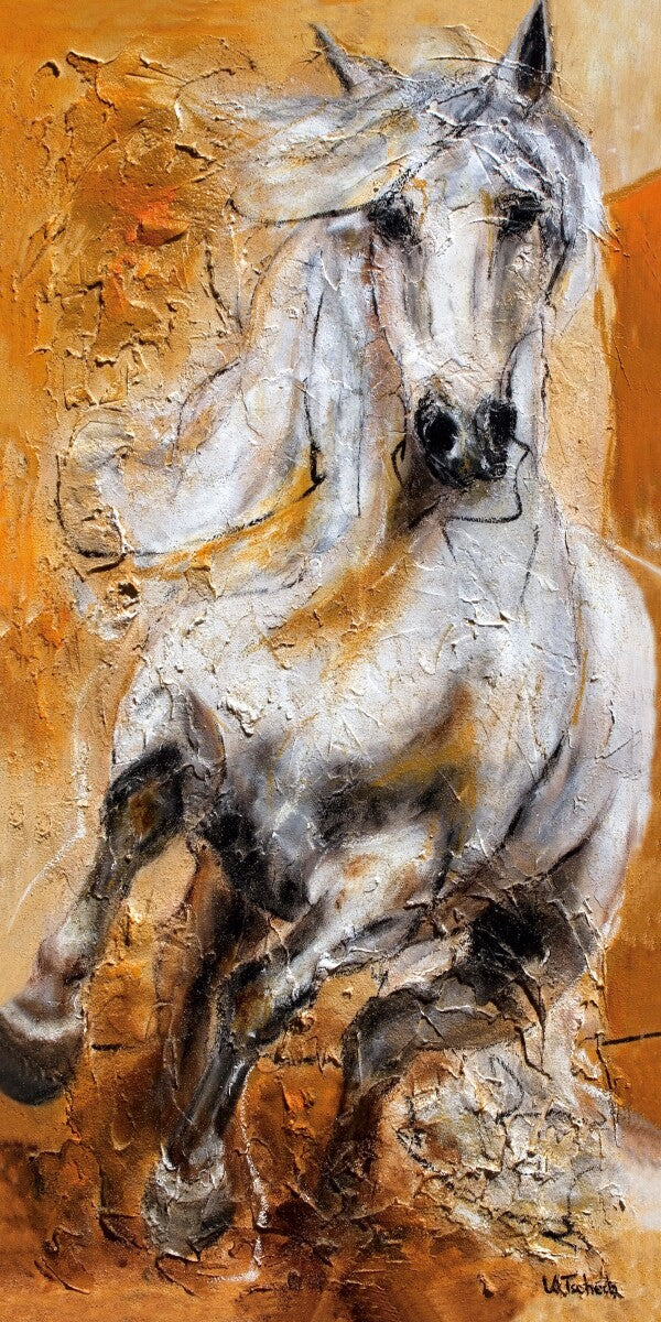 01-15 Weißer Andalusier Hengst im freien Galopp vor warmem Orange und Gelb – Pferde-Kunstdruck von Kerstin Tschech