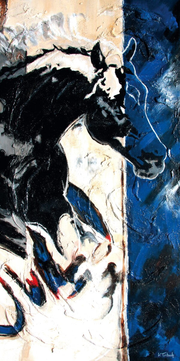 01-05 Springpferd in abstrakter Silhouette in Flugphase – Pferde-Kunstdruck von Kerstin Tschech