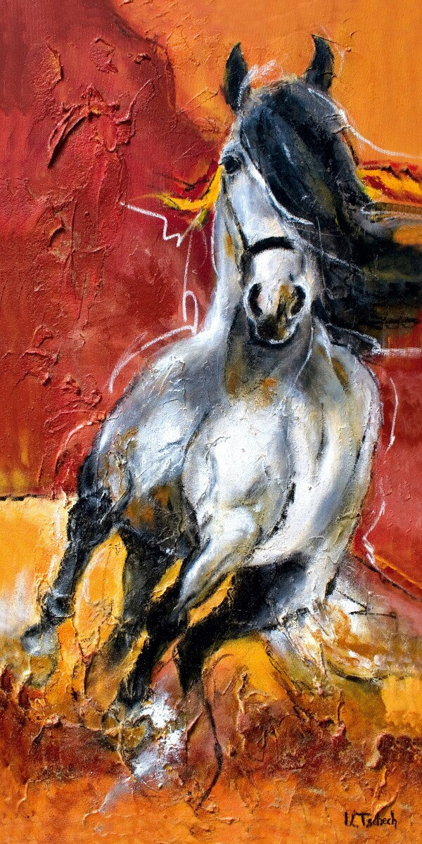 01-13 Edler Andalusier Schimmel in feiner Aufrichtung vor warmem Gelb Rot und Orange – Pferde-Kunstdruck von Kerstin Tschech