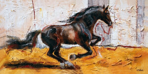 02-06 Imposanter Hengst im vollen Galopp – Pferde-Kunstdruck von Kerstin Tschech