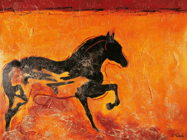 06-20 Charakterstarkes schwarzes Hengst Wandbild im modernen Stil – Pferde-Kunstdruck von Kerstin Tschech